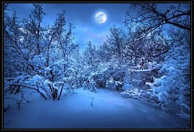 Картина Заснеженный лес ночью (Snowy forest at night)