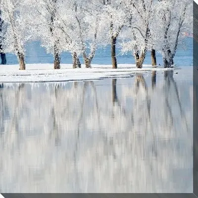 Постер Деревья на берегу озера (Trees by the lake)