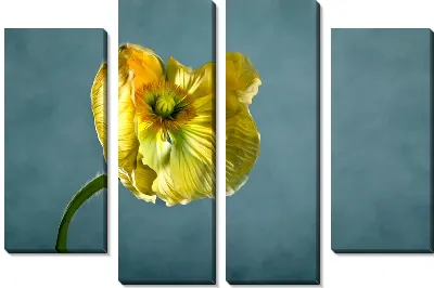 Модульная картина Желтый цветок (Yellow flower) №2