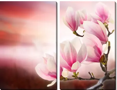Модульная картина Белые цветы (White flowers) №10