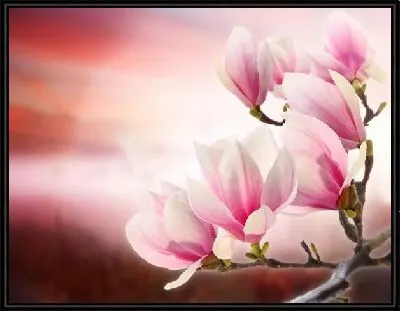 Картина Белые цветы (White flowers) №10