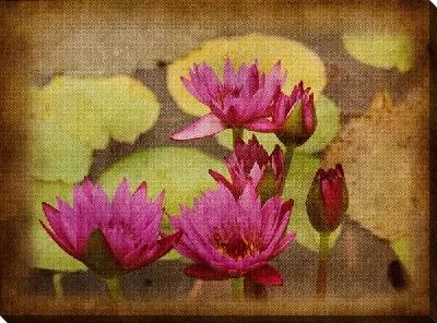 Постер Лилии (Lilies) №7