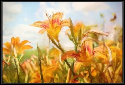 Картина Оранжевые цветы (Orange flowers)
