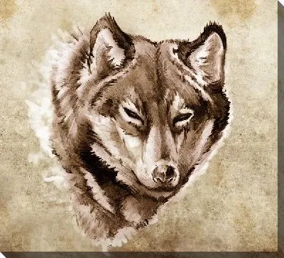 Постер Волк (Wolf) №6