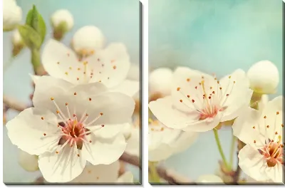 Модульная картина Белые цветы (White flowers) №11