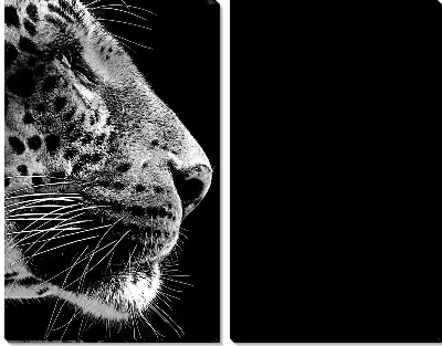 Леопард (Leopard) №11