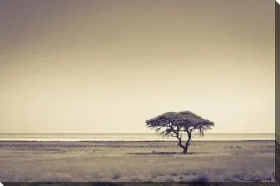 Постер Дерево в Африке (Tree in Africa) №3