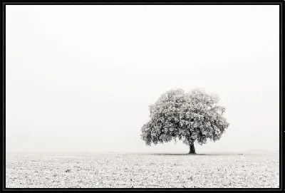 Картина Дерево (Tree) №26