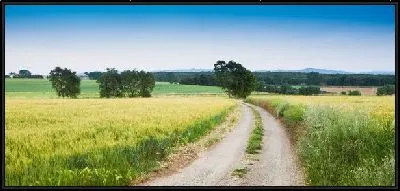 Картина Дорога в поле (Road in a field) №3