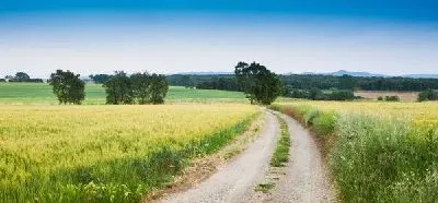 Плакат Дорога в поле (Road in a field) №3