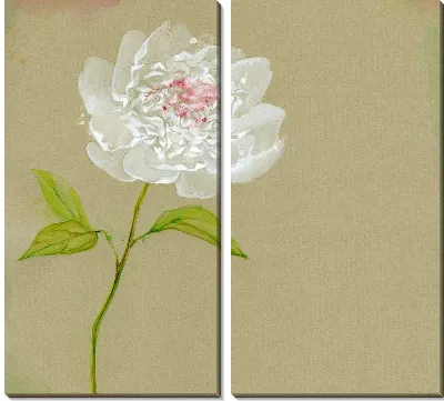 Модульная картина Белый цветок (White flower) №5