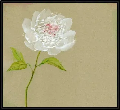 Картина Белый цветок (White flower) №5