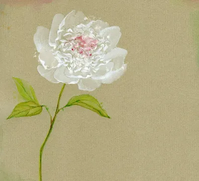 шаблон id 38