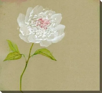 Постер Белый цветок (White flower) №5