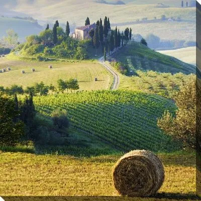 Солнечный день (Sunny Day) №2