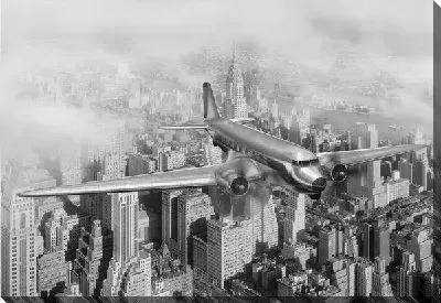 Постер Самолет над Нью-Йорком (Plane over New York)