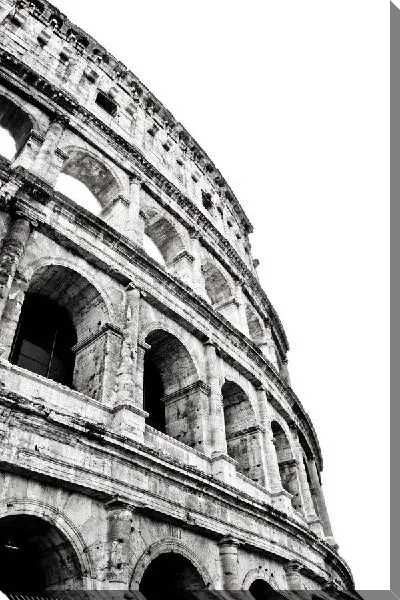Постер Колизей (Coliseum) №4