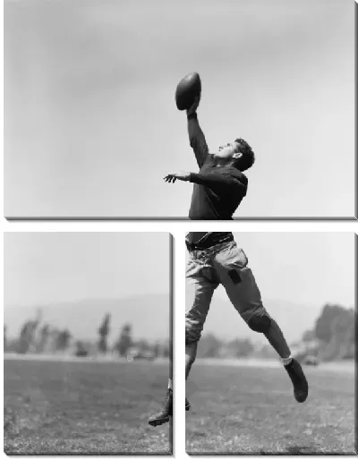 Модульная картина Регби (Rugby) №2