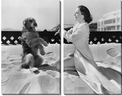 Модульная картина Женщина с собакой (Woman with dog)