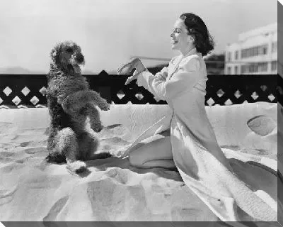 Постер Женщина с собакой (Woman with dog)