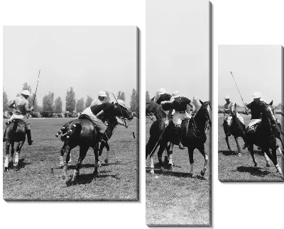 Модульная картина Верховая езда (Riding)