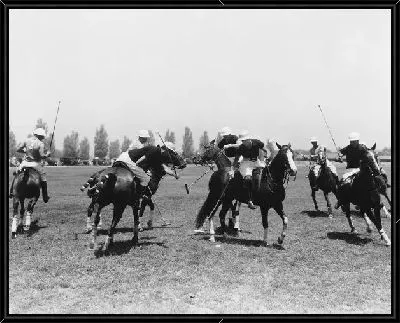 Картина Верховая езда (Riding)