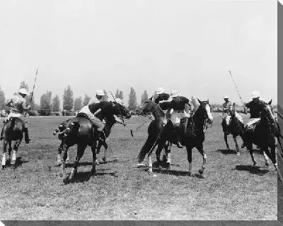 Верховая езда (Riding)