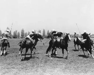Плакат Верховая езда (Riding)
