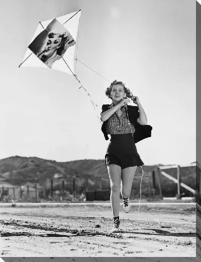 Постер Девушка с воздушным змеем (A girl with a kite)