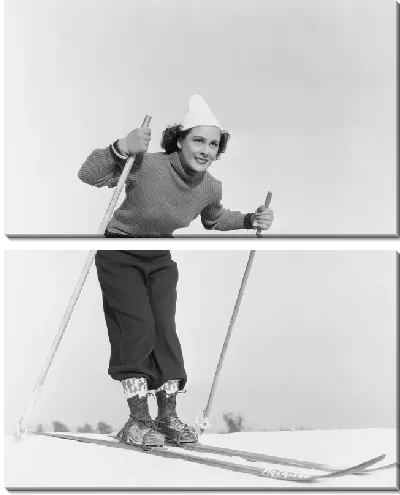 Модульная картина Девушка на лыжах (The girl on skis)