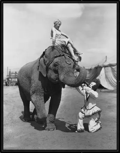 Картина Девушка на слоне (The girl on an elephant)