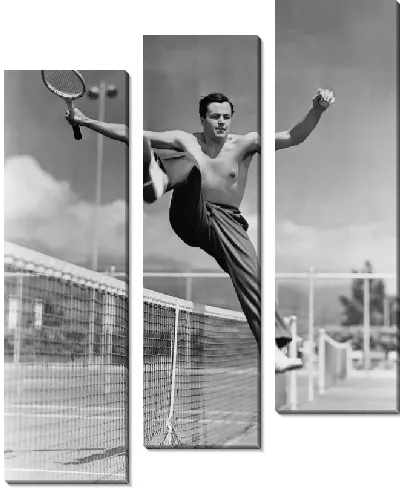 Модульная картина Теннис (Tennis) №4