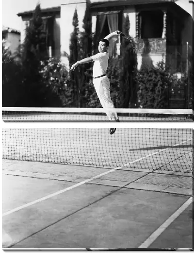 Модульная картина Теннис (Tennis) №5