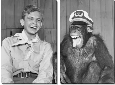 Модульная картина Мальчик с обезьяной (A boy with a monkey)