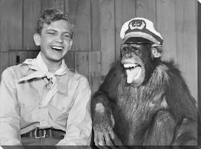 Постер Мальчик с обезьяной (A boy with a monkey)