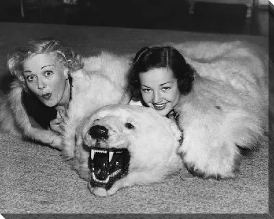 Две девушки и шкура медведя (Two girls and bearskin)