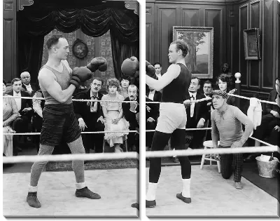 Модульная картина Бокс (Boxing) №2