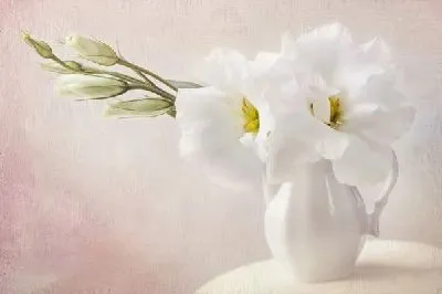 Плакат Цветы в вазе (Flowers in a Vase) №88