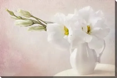 Постер Цветы в вазе (Flowers in a Vase) №88