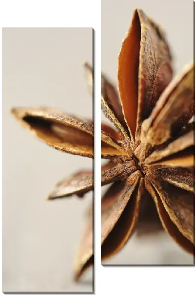 Модульная картина Ваниль (Vanilla) №2