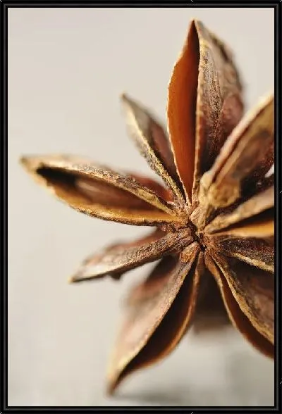 Картина Ваниль (Vanilla) №2