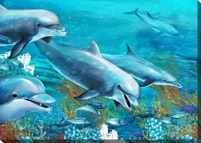 Постер Дельфины (Dolphins) №6