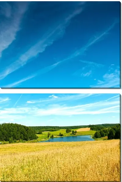 картина