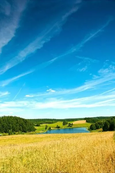 Плакат Небо над полем (The sky over the field)