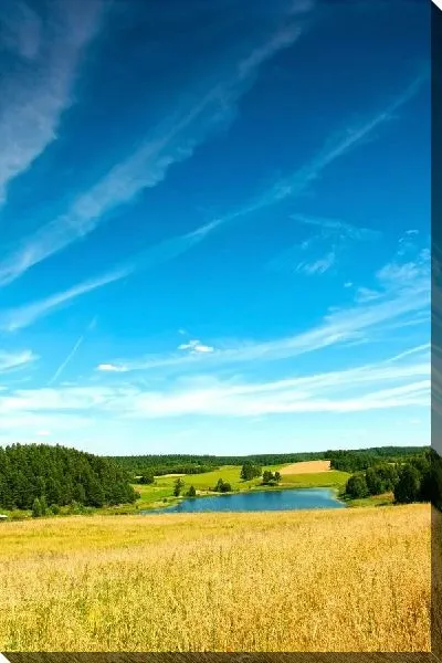 Постер Небо над полем (The sky over the field)