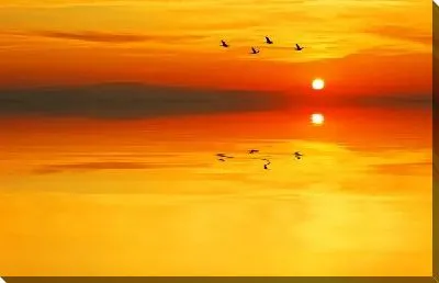 Постер Закат над озером (Sunset over the lake)