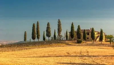Плакат Поле (Field) №21