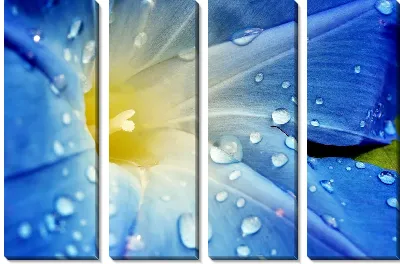 Модульная картина Цветок (Flower) №29