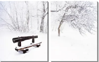 Модульная картина Скамейка в зимнем парке (Bench in winter park)