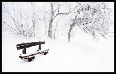 Скамейка в зимнем парке (Bench in winter park)